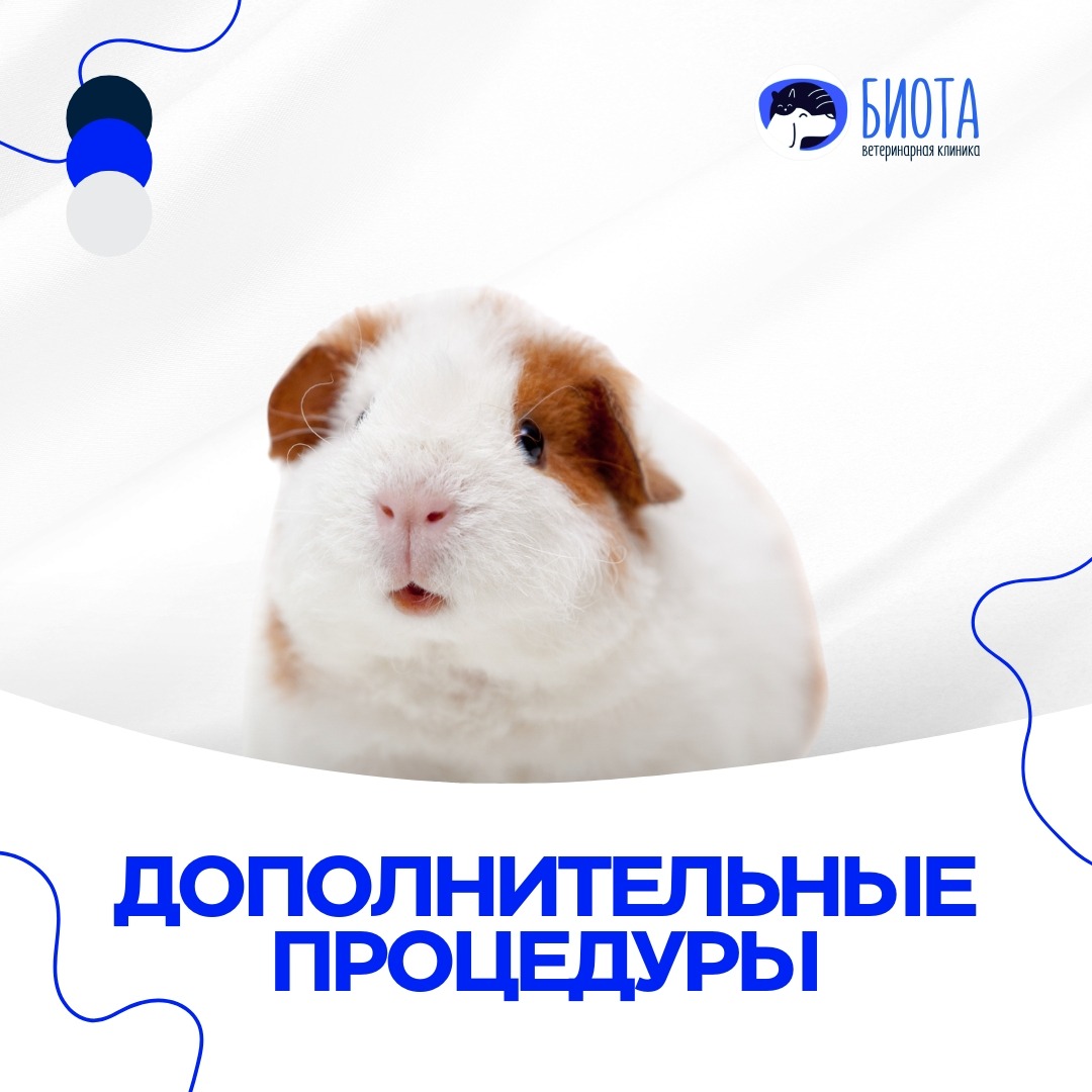 доп.услуги thumbnail