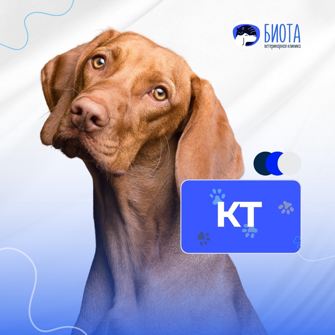 КТ thumbnail
