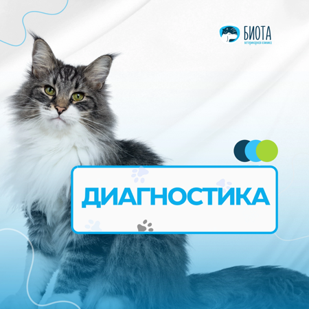 диагностика thumbnail