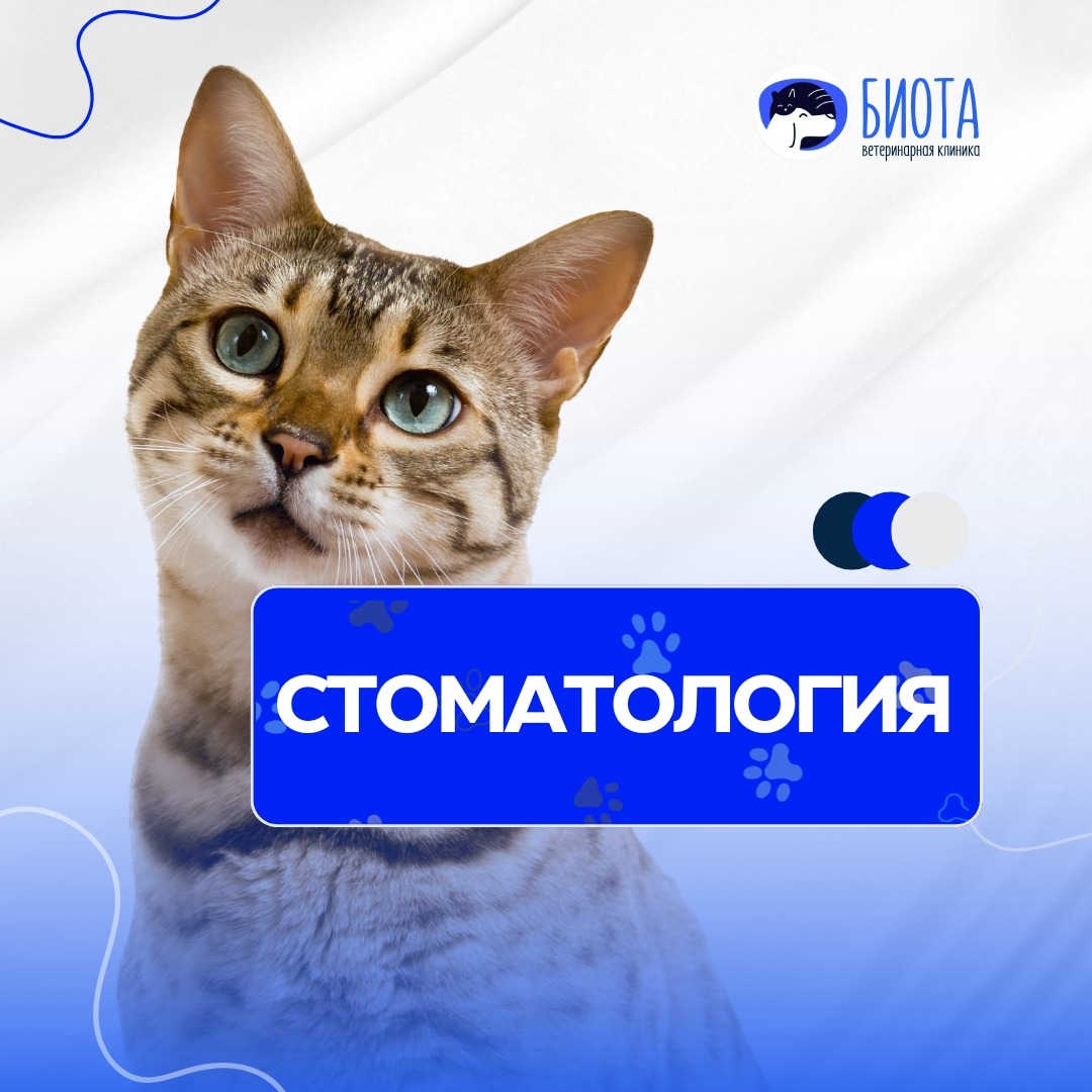 стоматология thumbnail