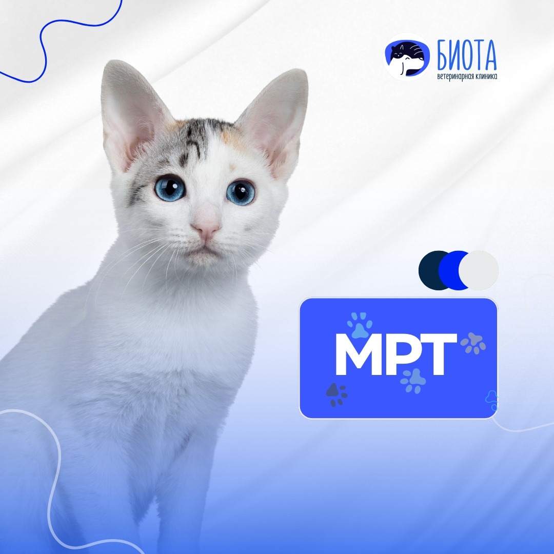 МРТ thumbnail