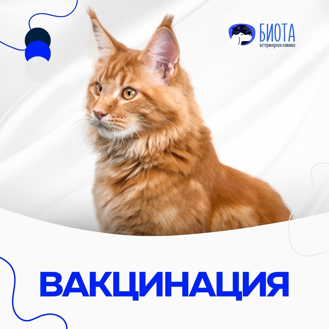 вакцинация thumbnail