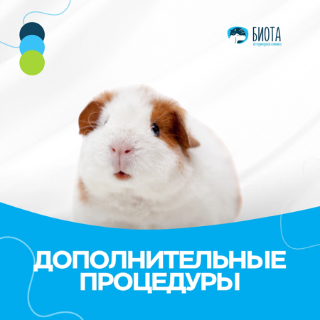 доп.услуги thumbnail