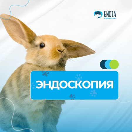 эндоскопия thumbnail