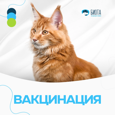 вакцинация thumbnail