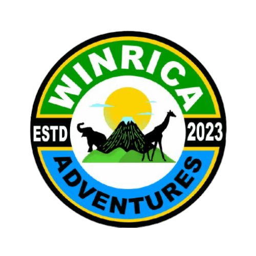 Plan Your Trip to Tanzania:  Custom experiences with Winrica Adventures. thumbnail
