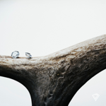 Blog: Natural vs. Lab Grown thumbnail
