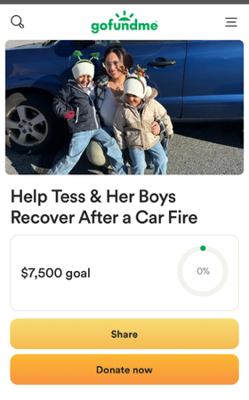 Help Tess & Her Boys ❤️ thumbnail