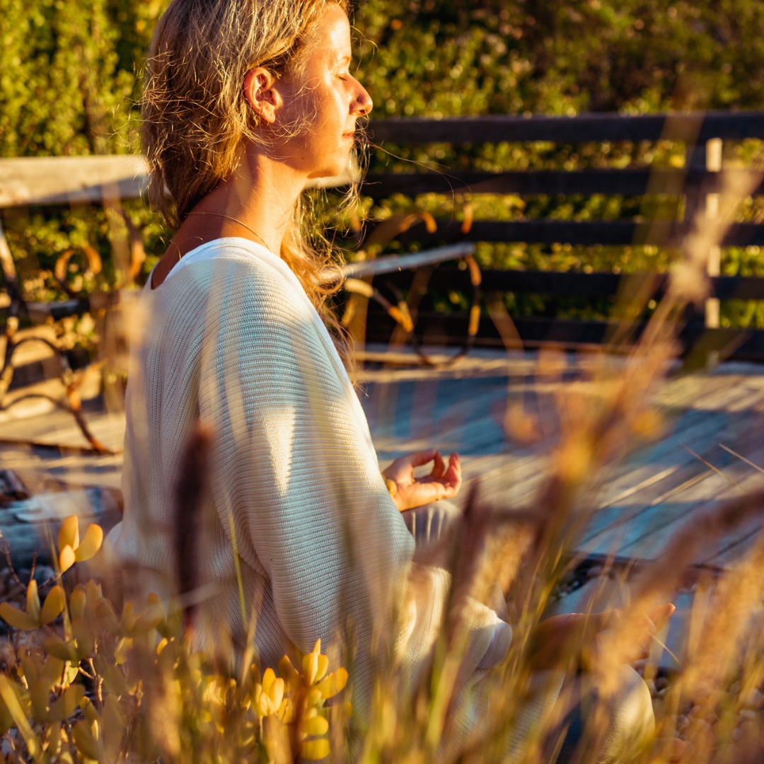 AYURVEDAHIPPIE CIRCLE → MEHR ERFAHREN thumbnail