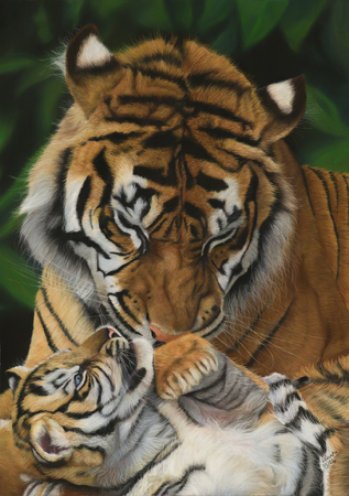 Original Fine Art Prints and Greetings Cards  thumbnail