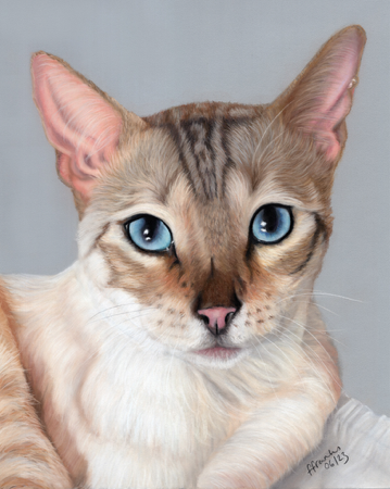 Pet portrait price list thumbnail
