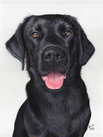 How to commission a pet portrait thumbnail