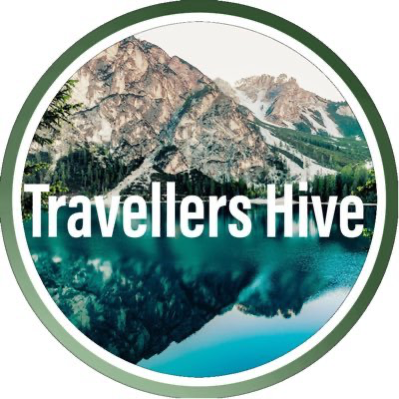 Travellers Hive  ( Projects- Amazon  Web App,Blogger)+ Support Guides+ Fan Page) thumbnail