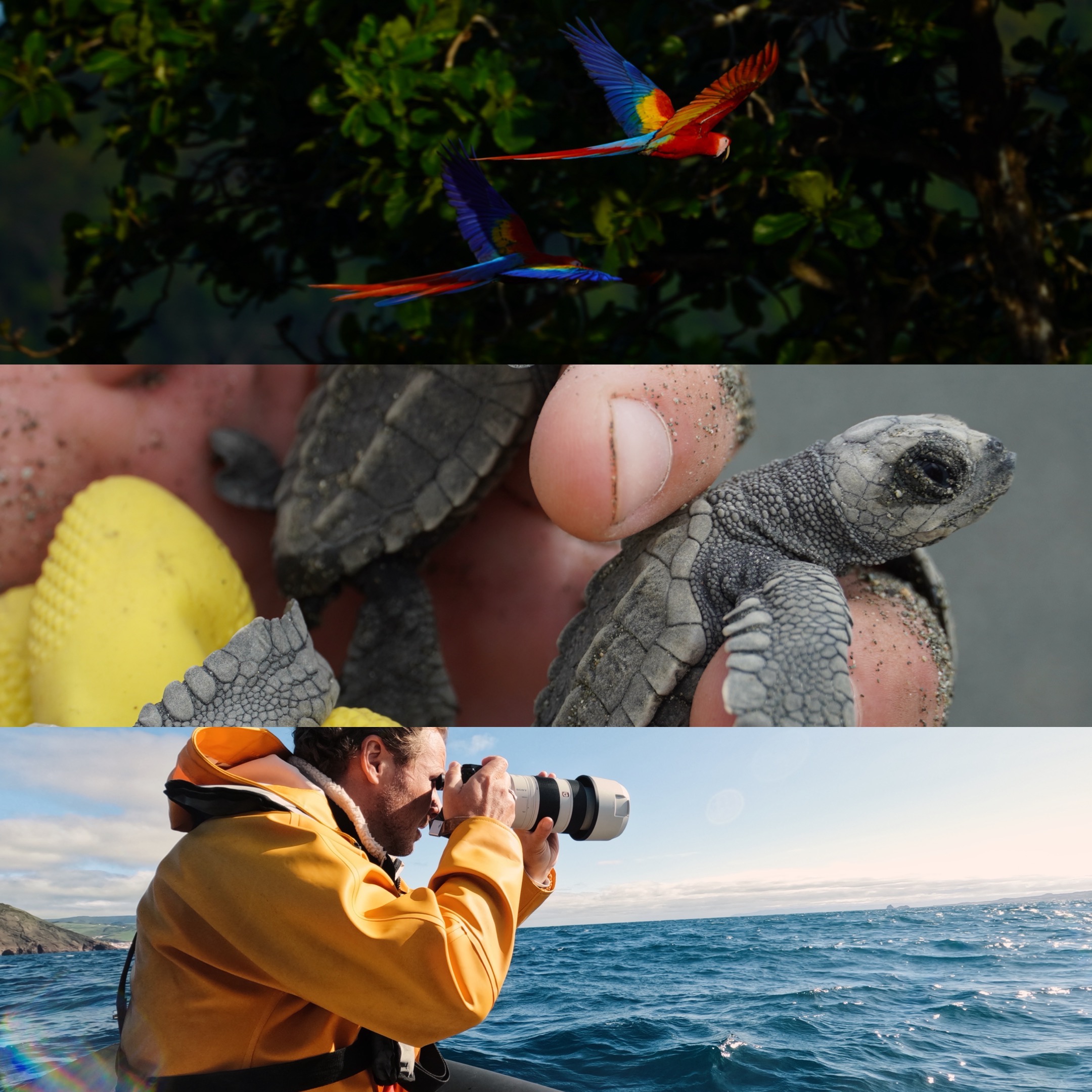 VOLUNTEERING-BLOG: Ethische Projekte weltweit thumbnail