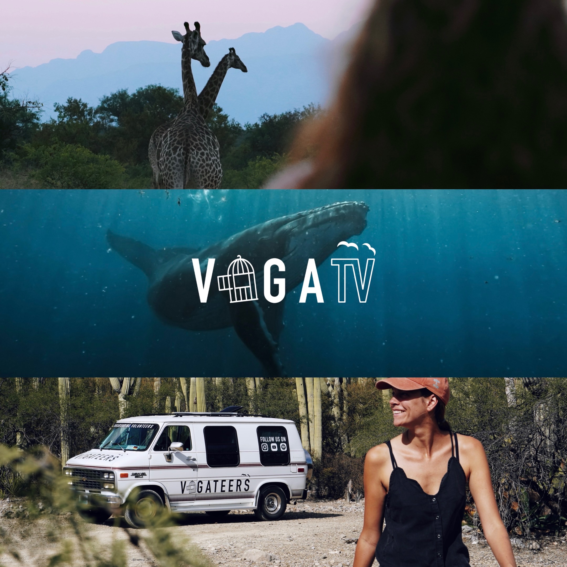 Unsere WELTREISE-DOKUS (YouTube): Als Volunteers um die ganze Welt thumbnail