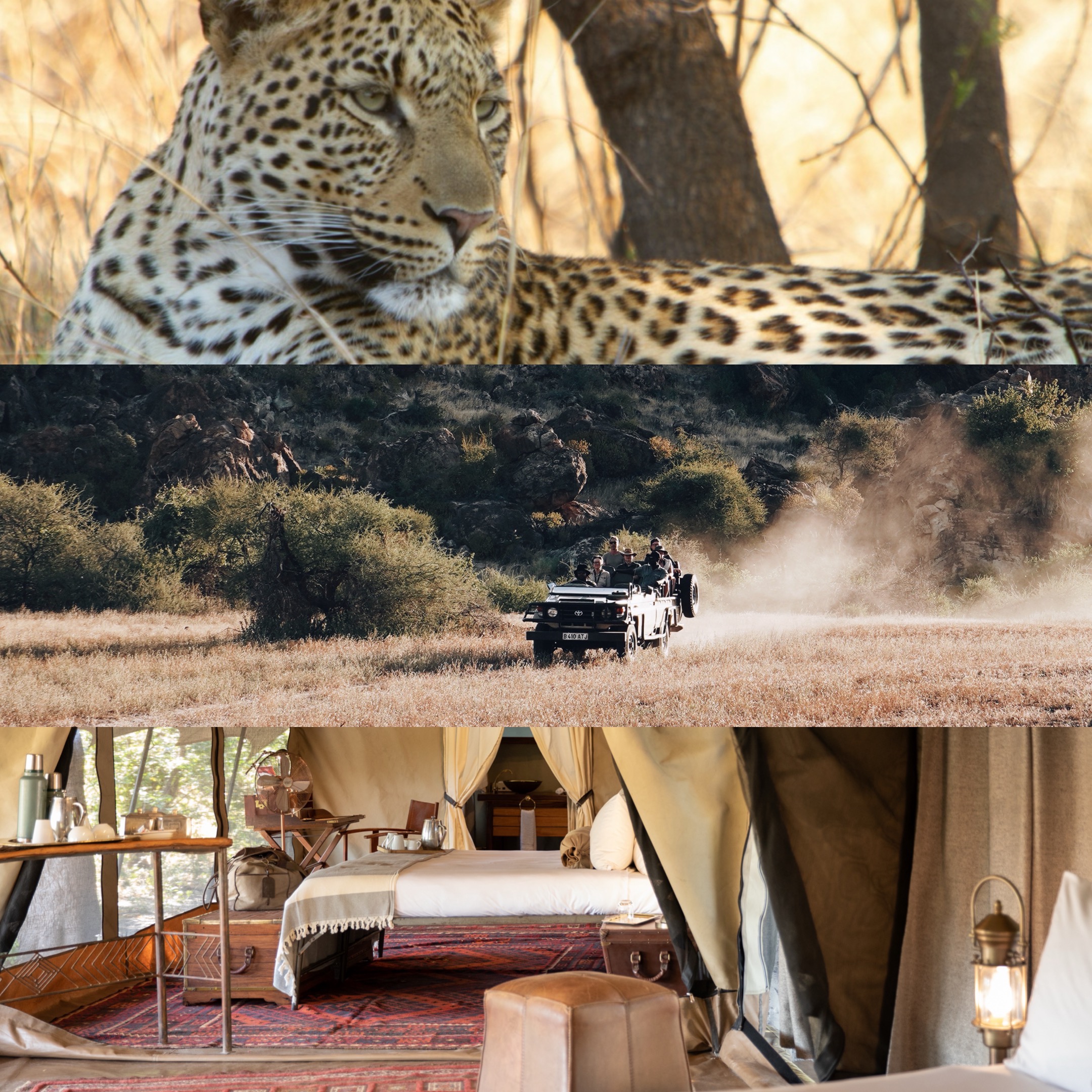 TRAUM-SAFARIS 2026: Kleine Gruppen, unvergessliche Erlebnisse, echte Abgeschiedenheit thumbnail