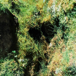 Re:fine(Jul 5 2014) thumbnail
