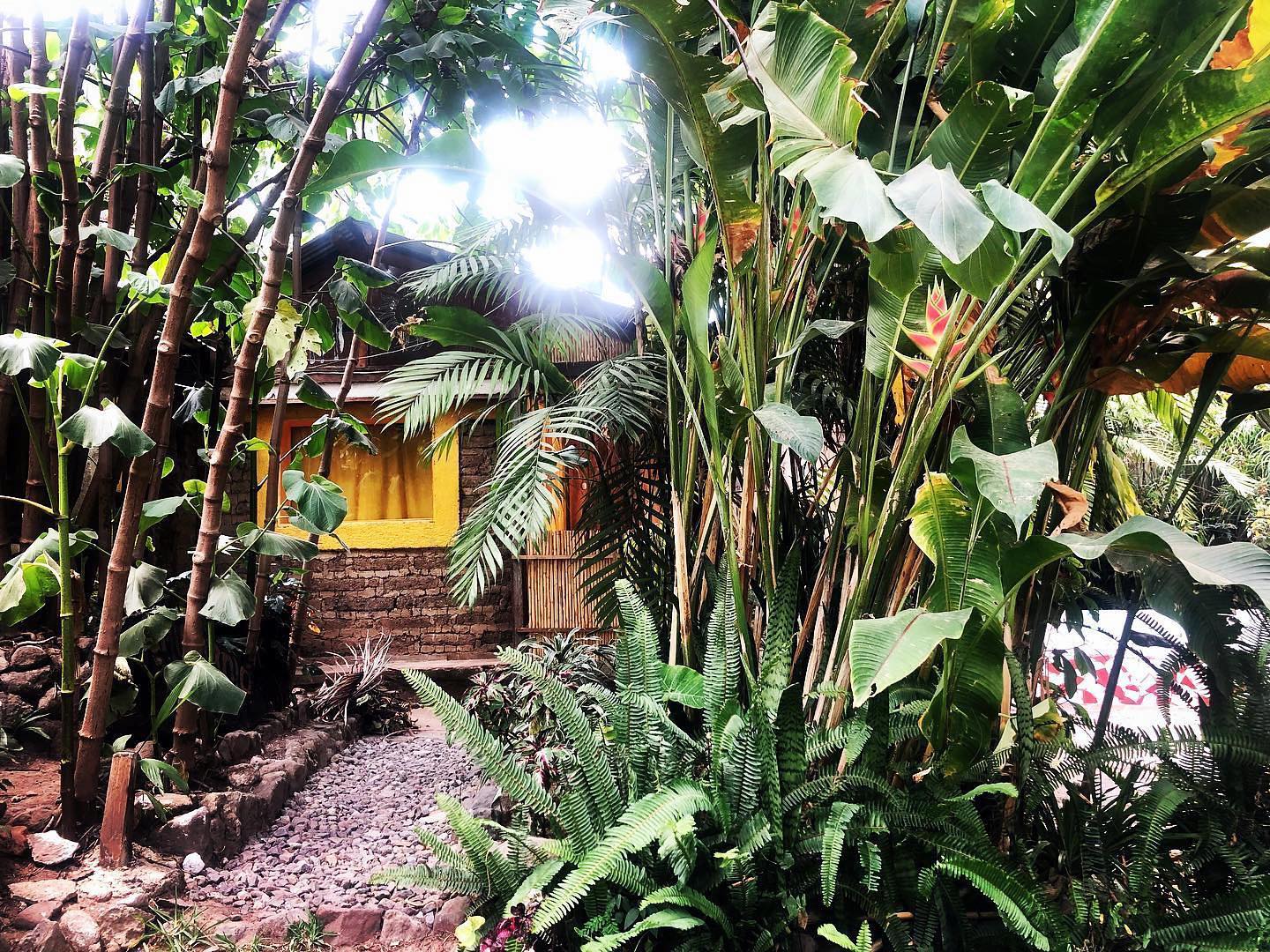 Meet my casita… she’s been such a sweet sanctuary here in #sanmarcos I’m grateful to be surrounded by nature just a few 