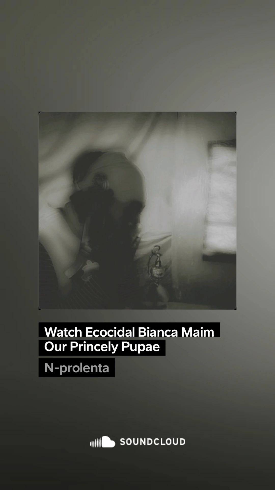 Performance - Parasymbol 6 of 7 Addendum: "Watch Ecocidal Bianca Maim Our Princely Pup" thumbnail