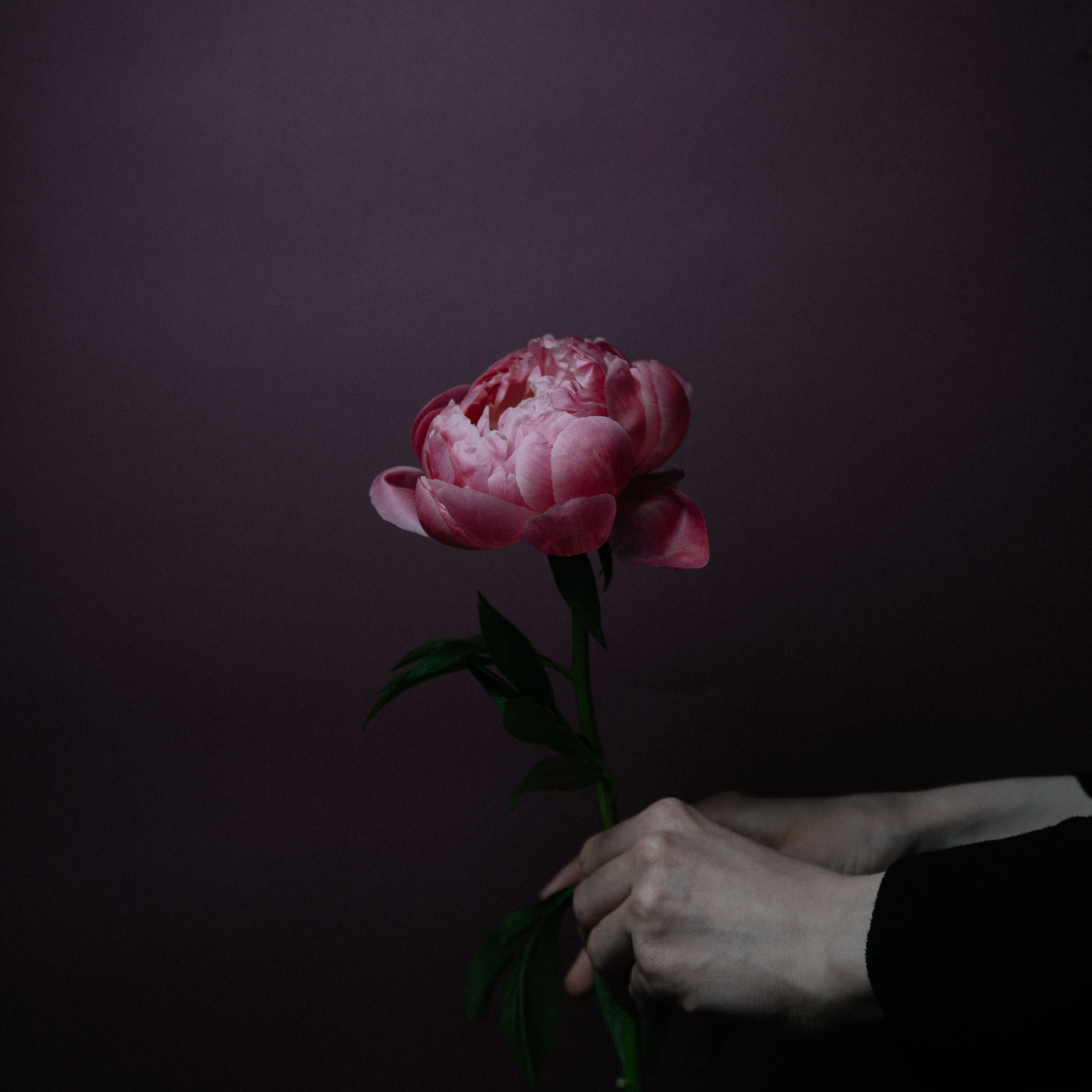 FREE GUIDE TO A WELL-LIVED, WELL-LOVED, WELL-FUCKED LIFE thumbnail