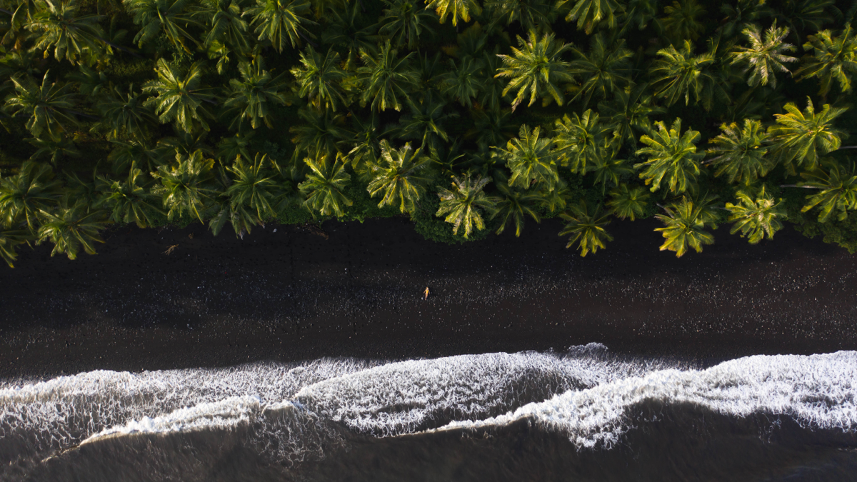 BioSite banner for @mathews