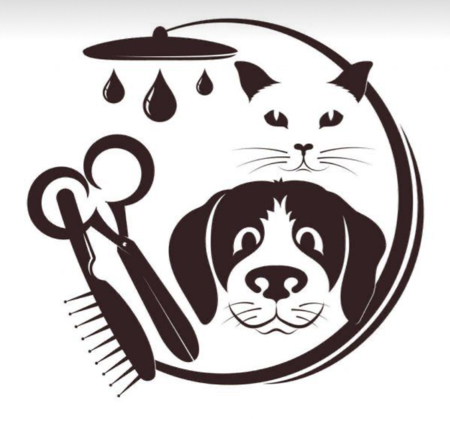 BANHO E TOSA thumbnail