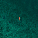 AERIAL EDITION - #OpenSea thumbnail