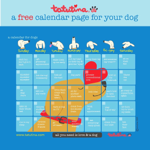 Free  calendar pages for dog people! thumbnail