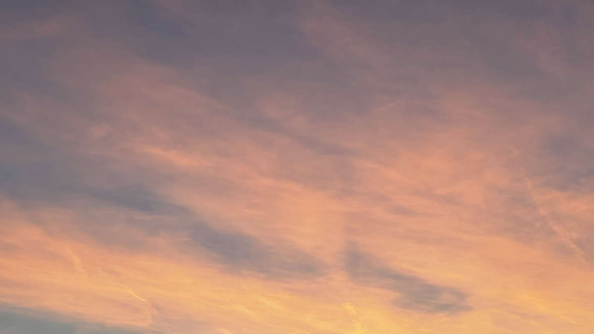 BioSite banner for @we