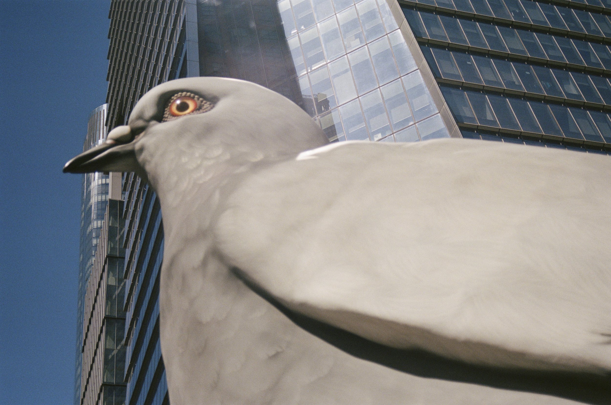 Farewell, Dinosaur at The High Line thumbnail