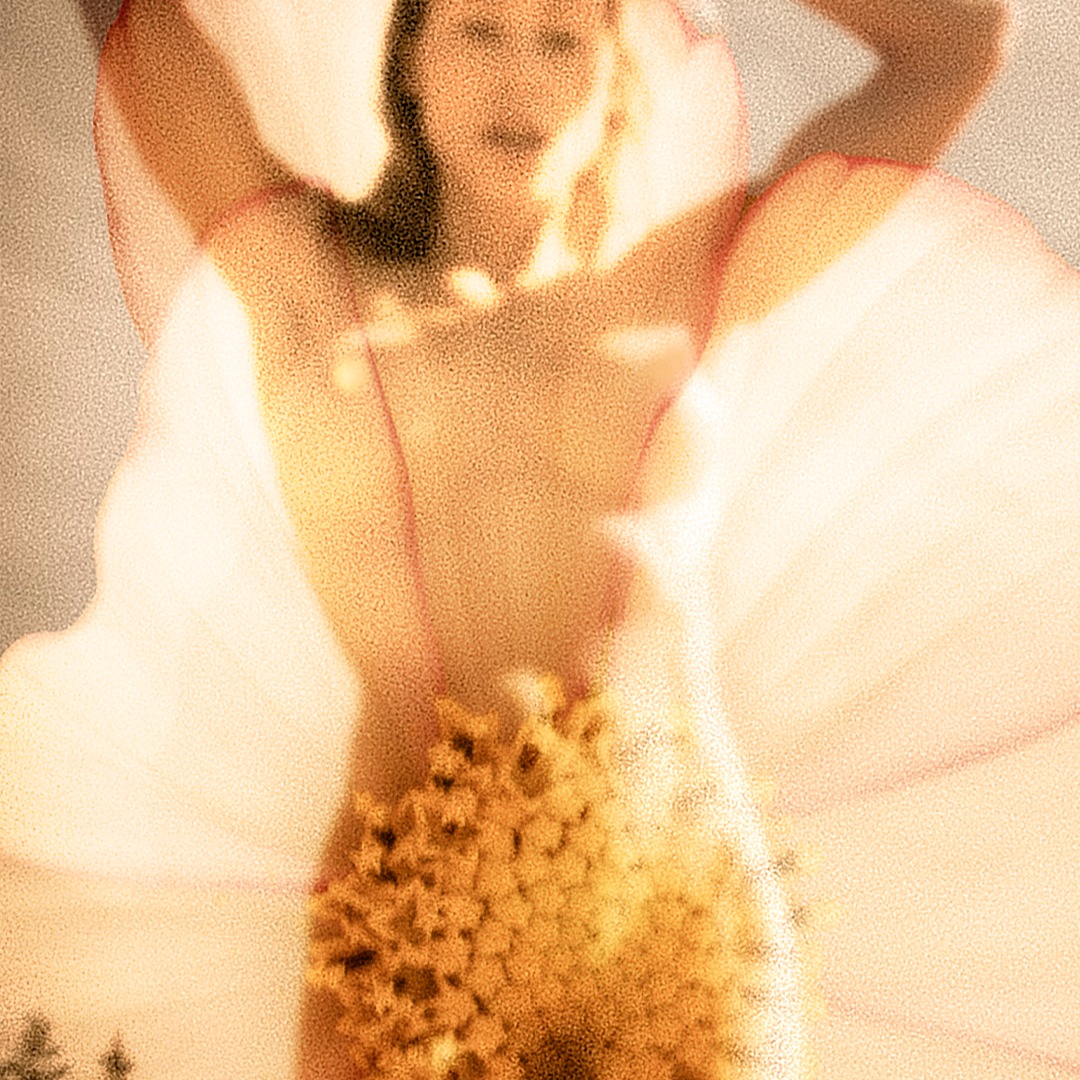 NFT Collectibles  thumbnail