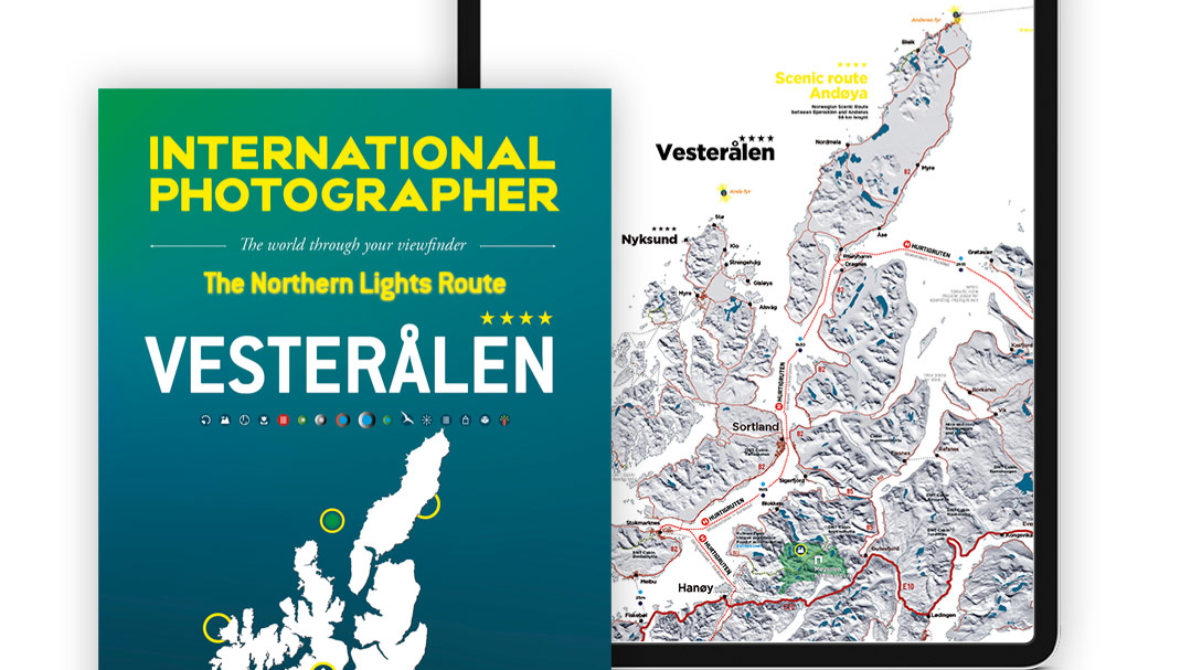 BioSite banner for @international