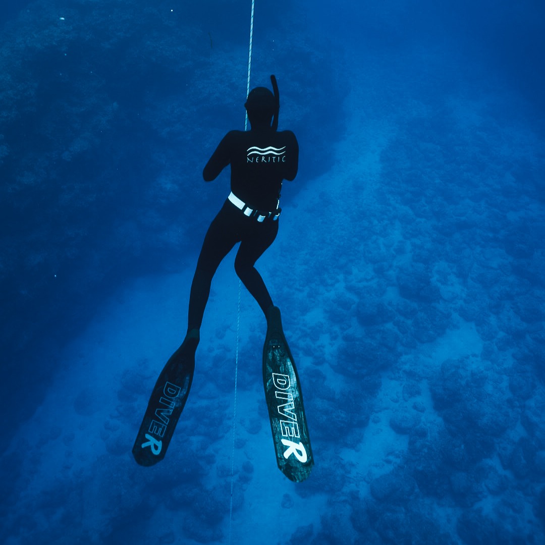Fiji Women's Freediving & Spearfishing Trip (November 14th-21st) thumbnail