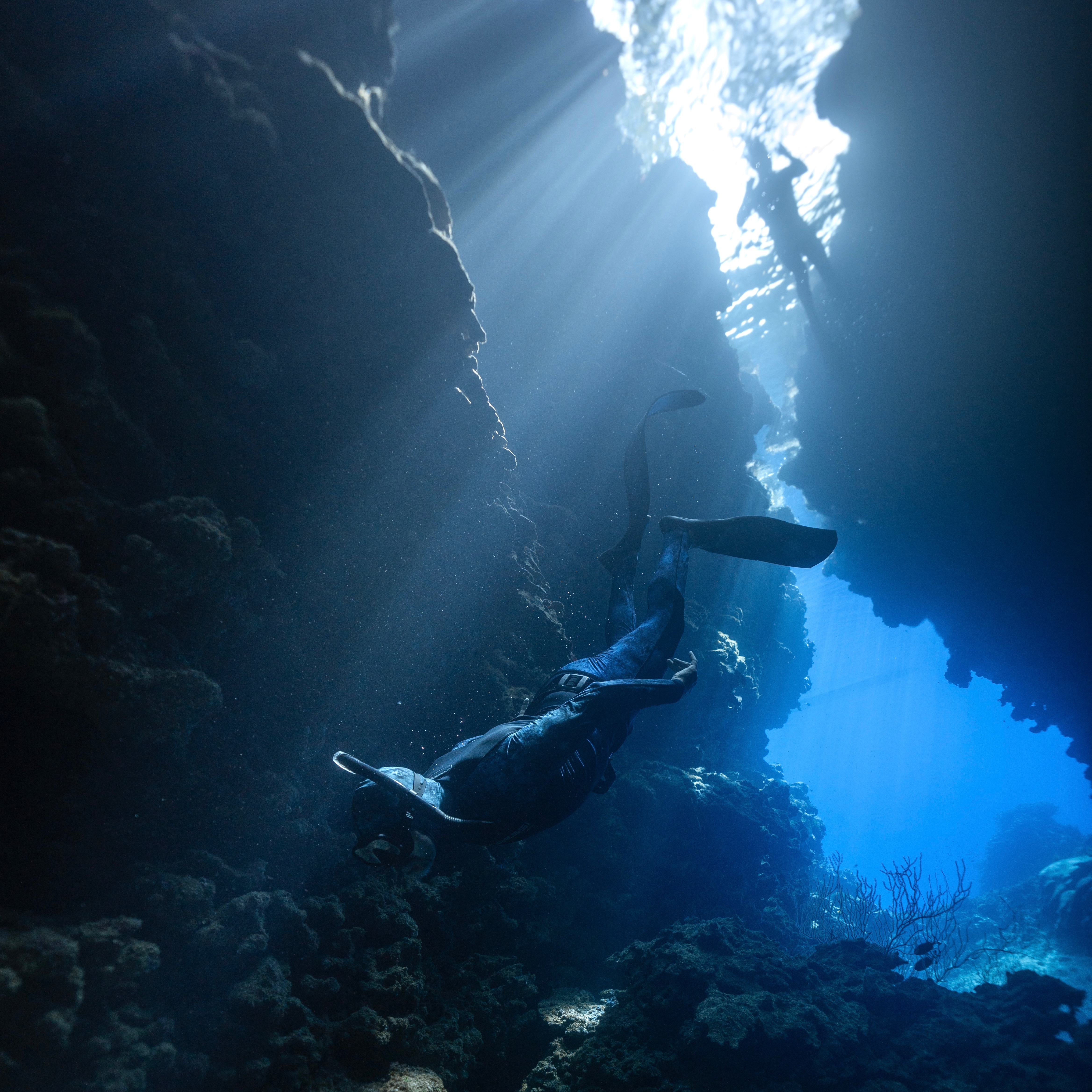Solomon Islands Spearfishing & Freediving Expeditions (new dates soon) thumbnail