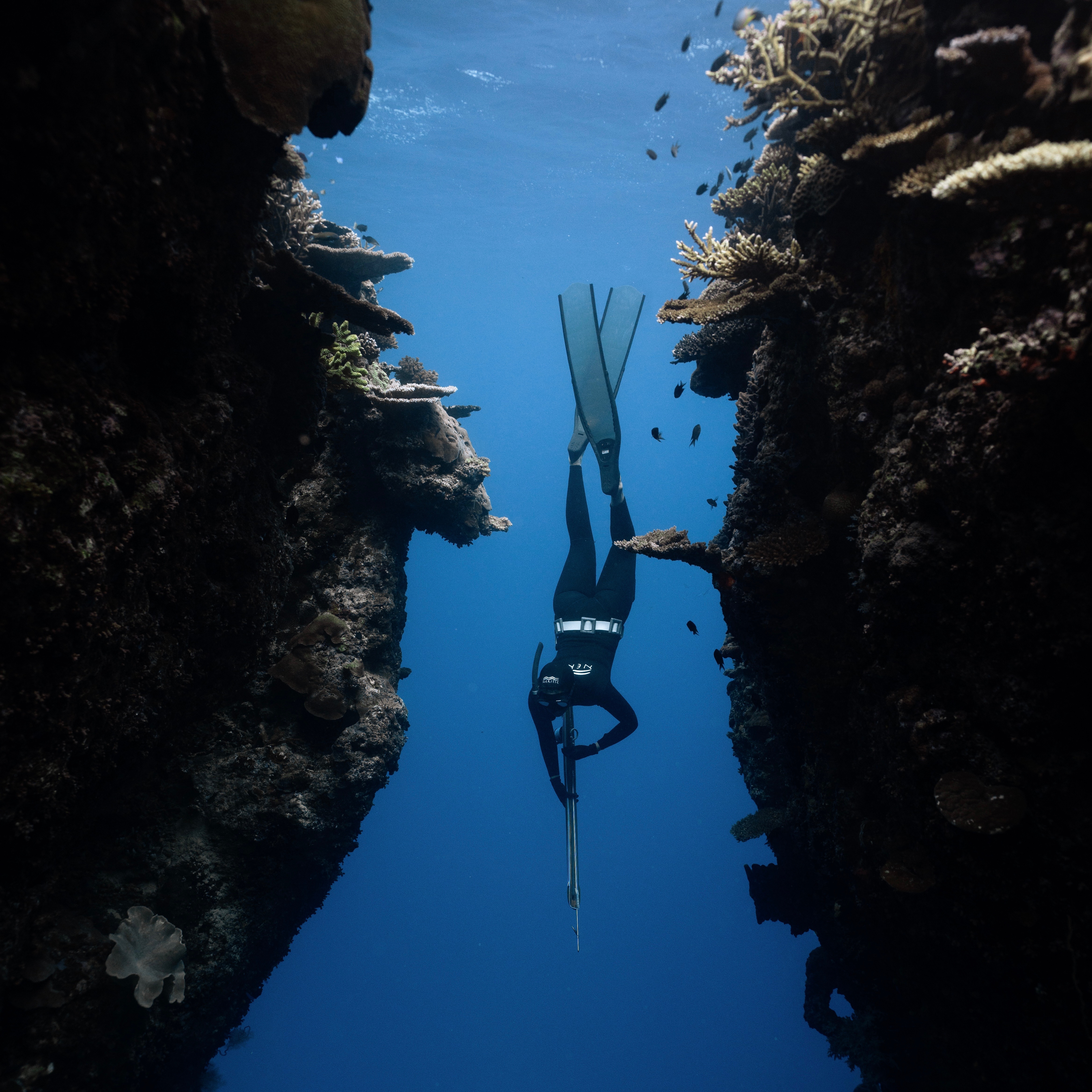 Fiji Freediving & Spearfishing Trip November  thumbnail