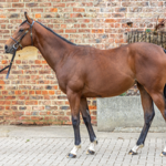 Racing Photography thumbnail