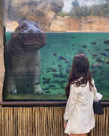 ZOOM: Una notte in Tanzania a due passi da Torino! thumbnail