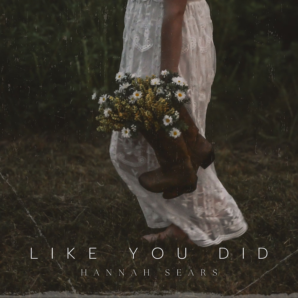 Review: "Like You Did" - Hannah Sears thumbnail