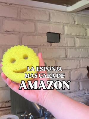 La mejor esponja para fregar y limpiar No es la esponja mas cara de Amazon ✅  #hogar #limpiar #esponja @Scrub Daddy 