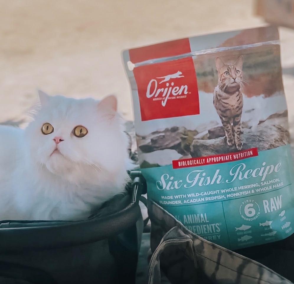 ORIJEN™ Six Fish™ Cat Food thumbnail