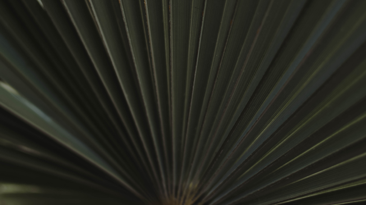 BioSite banner for @Kenneth