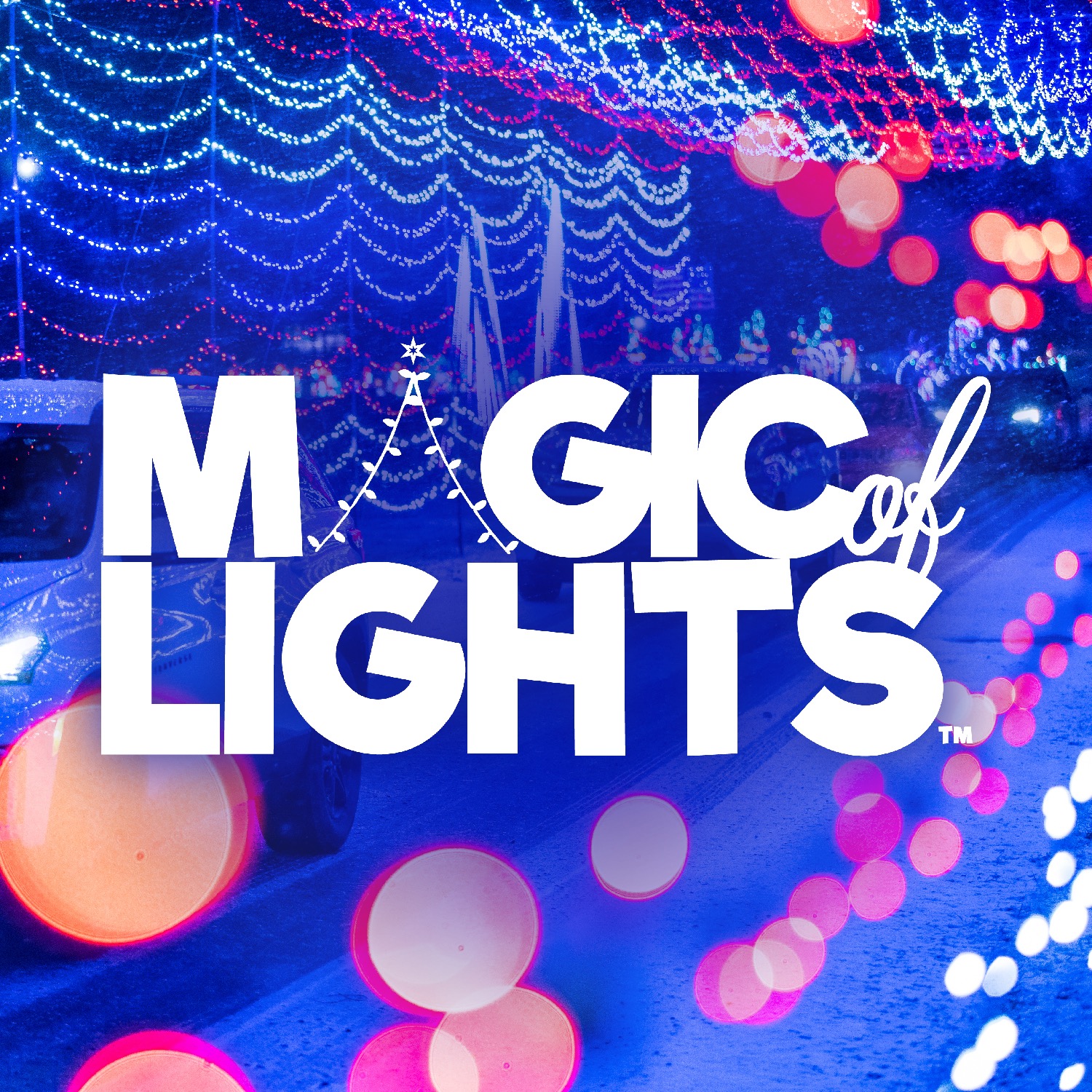 Ottawa, ON - Magic of Lights thumbnail