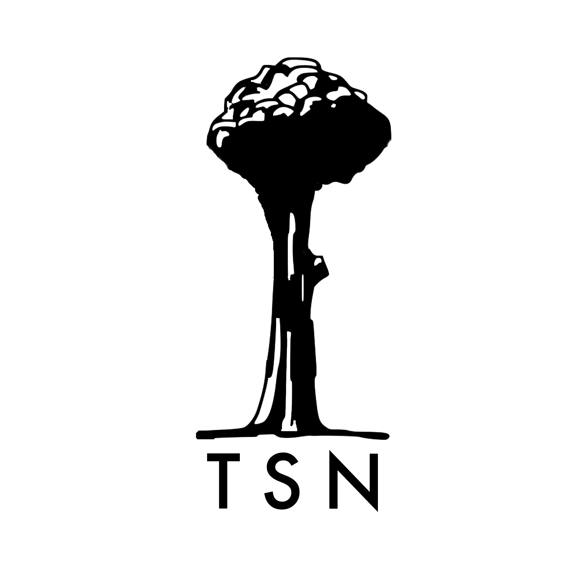 BioSite profile picture for @tsn