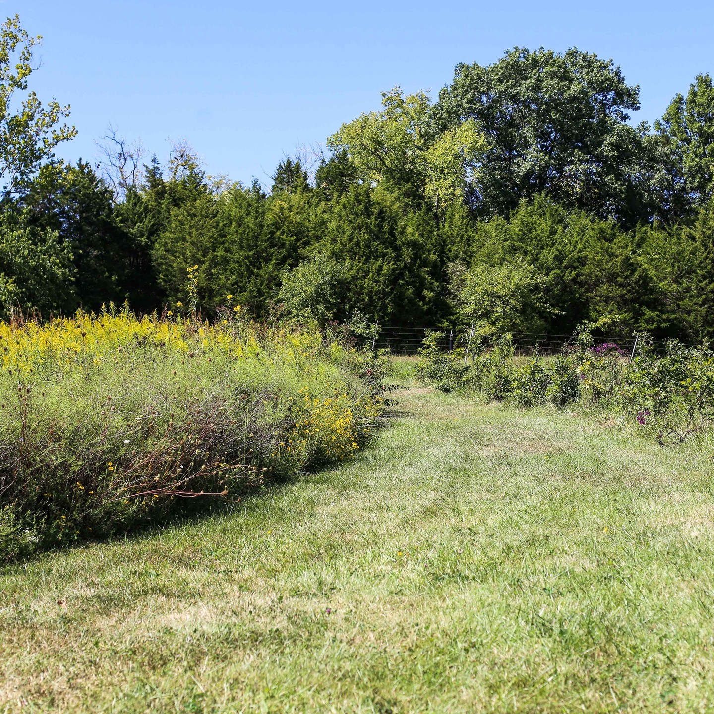 WEST SIXTH FARM 10K TRAIL RUN 🏃‍♀️ SATURDAY 👟 with @johnsrunwalkshop, & @ejadventuresky, benefitting our friends @kymba_