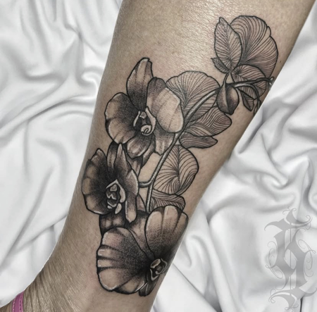 ⠀⠀⠀⠀⠀⠀⠀⠀⠀ thumbnail