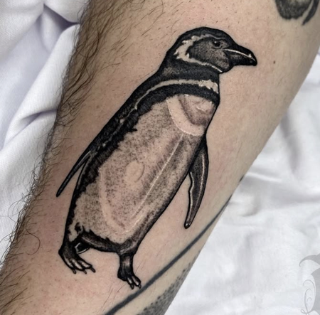 ⠀⠀⠀⠀⠀⠀⠀⠀⠀ thumbnail