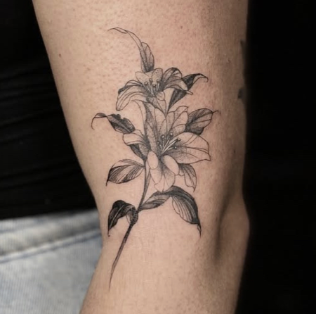 ⠀⠀⠀⠀⠀⠀⠀⠀⠀ thumbnail