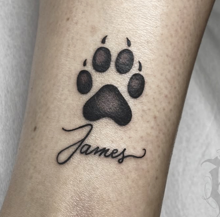 ⠀⠀⠀⠀⠀⠀⠀⠀⠀ thumbnail