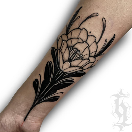 ⠀⠀⠀⠀⠀⠀⠀⠀⠀ thumbnail