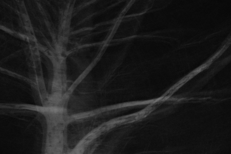 prints  thumbnail